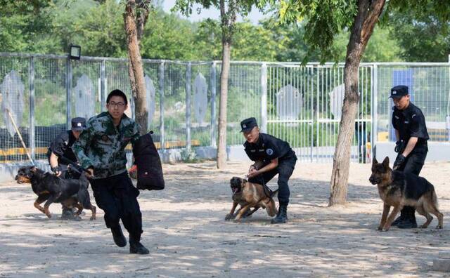 直击警校训练：美女学员射击、索降、特种驾驶样样精通