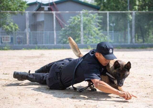 直击警校训练：美女学员射击、索降、特种驾驶样样精通