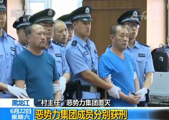 黑龙江“村主任”恶势力集团覆灭 成员分别获刑