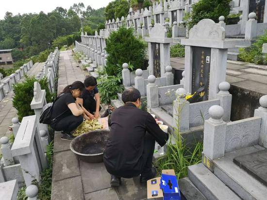 谢雕周年忌日谢家人前来祭扫