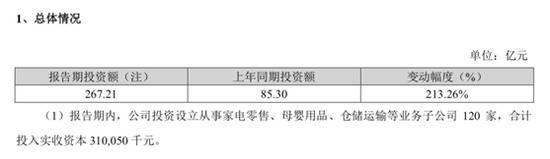 （来源：苏宁易购2018年年报分析）