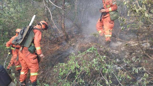 北京平谷山火基本被扑灭，消防力量正在清理火场