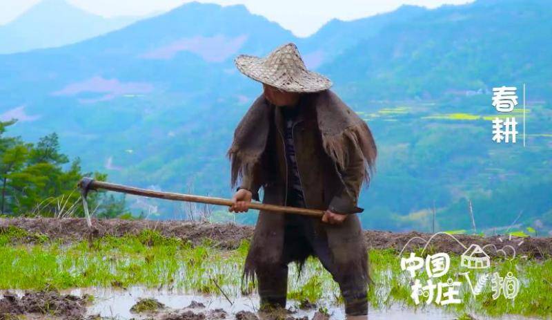 民以食为天，粮安天下！春耕，洒下辛勤的汗水，播下一年的希望