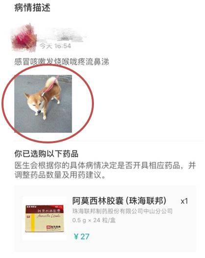 乱！买毒性药品“满减不限量” 宠物狗照片都能当处方