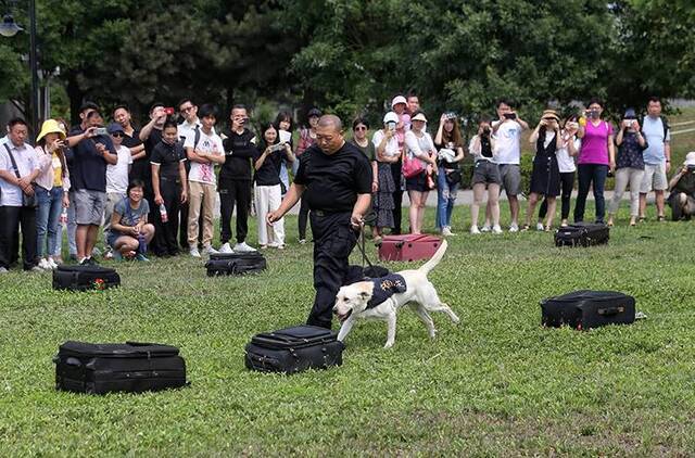 北京海关举办开放日活动缉毒犬展示搜毒绝技