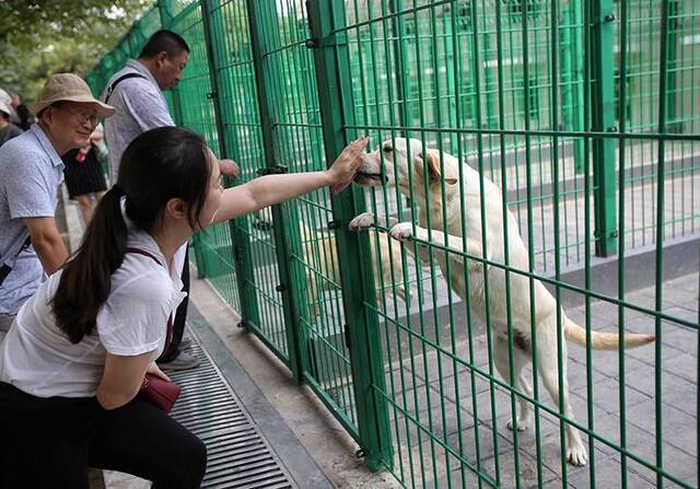 北京海关举办开放日活动缉毒犬展示搜毒绝技