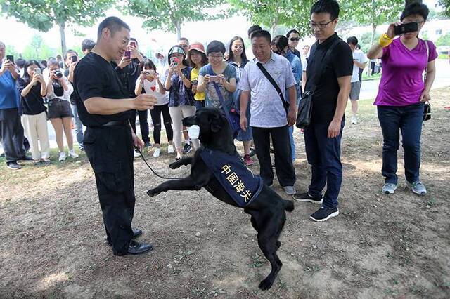 北京海关举办开放日活动缉毒犬展示搜毒绝技