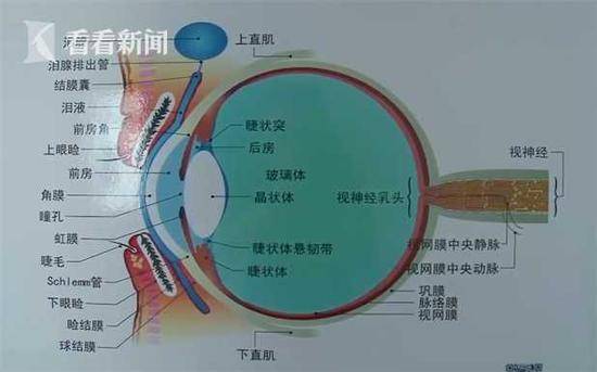 男子打玻尿酸致左眼失明 只因美容院少做这一步