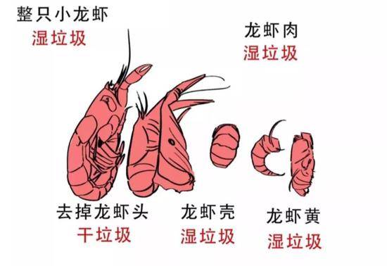 网络流传的“小龙虾身后事”示意图