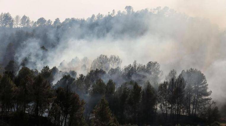 天气太热！西班牙加泰地区“粪肥自燃”引起山火，53人撤离