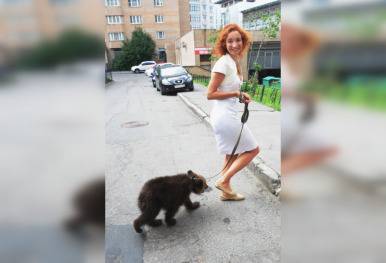 一个俄罗斯人带宠物小熊在城市里散步。图源：俄罗斯卫星通讯社