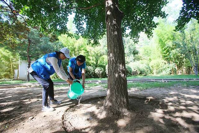 植绿认绿保护家园东城举办新时代文明实践推动日活动