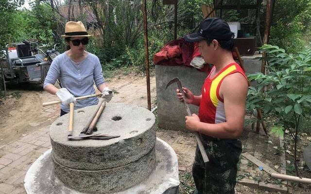 麦田丰收房山这六亩地迎来今年最后一波城市“麦客”