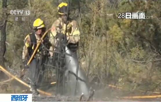 受高温天气影响 西班牙多地爆发山火已吞噬上万公顷森林