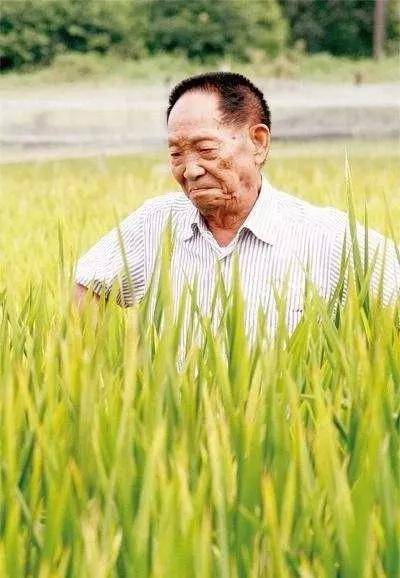 89岁袁隆平英语直播上热搜：我们都误会他了