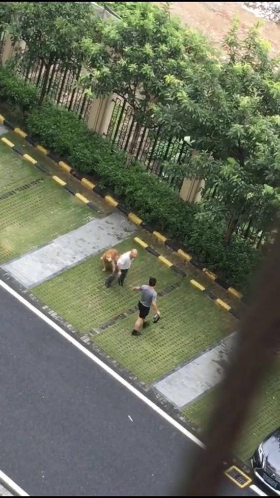 警方通报打死金毛犬案：未发现打狗男子殴打老人