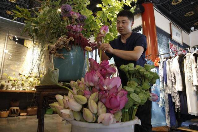 北海公园两万余盆花卉装点荷花展 增设荷花湖夜景照明