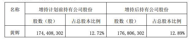 回复问询13个交易日后，三湘印象实控人完成股份增持