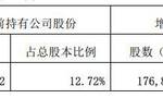 回复问询13个交易日后，三湘印象实控人完成股份增持