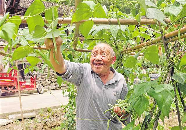 吊脚楼里“算账”看变化