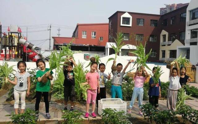 幼儿园开辟小菜园农业教育从学龄前开始