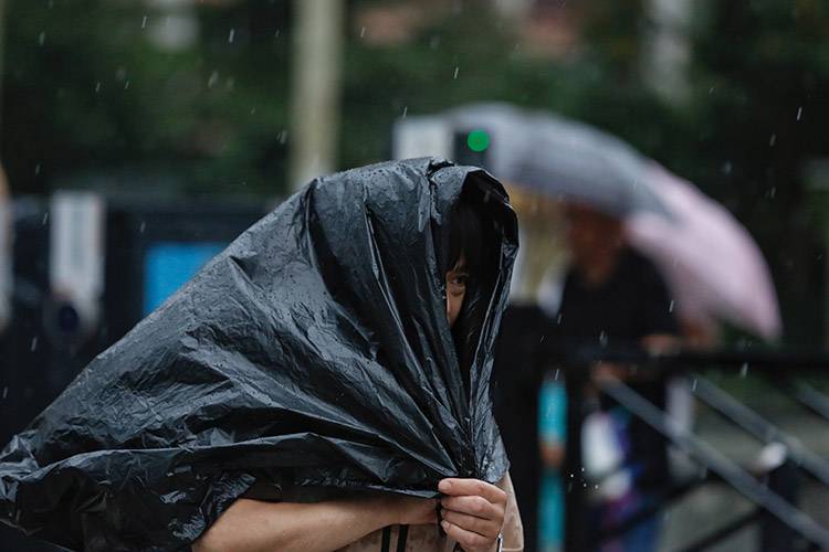 ​京城“退烧”雷阵雨傍晚来袭组图