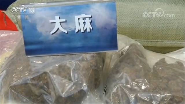 警方破获一起涉毒案件 缴获大麻种子4.3吨 41嫌疑人被抓