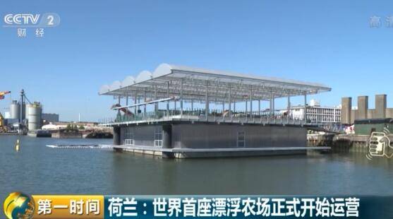 农场也能在海上漂浮？世界首座漂浮农场在荷兰正式运营