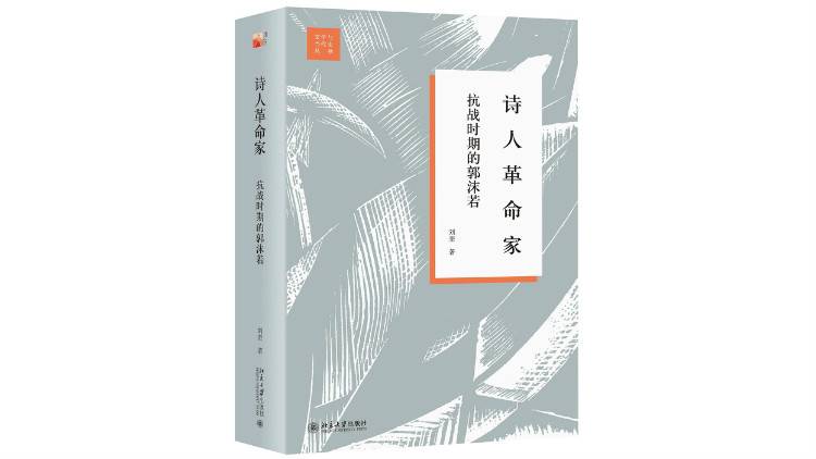 驶向真实之镜：2019年新京报夏季好书