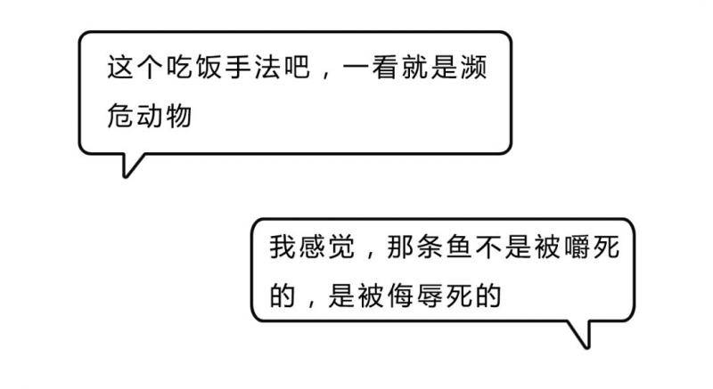 最近频繁上热搜的这只鸟 原来真实样子是这样(图)