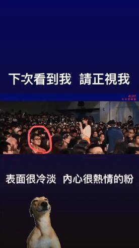 杨丞琳个人社交网站截图