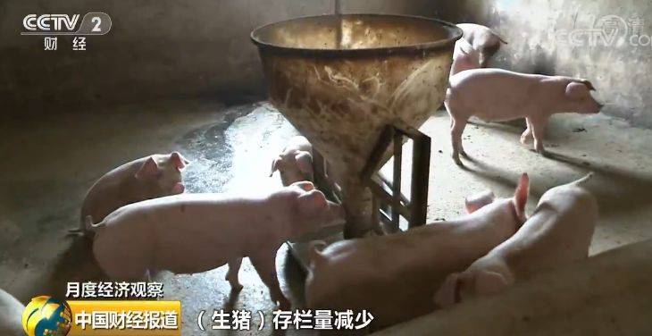 最新消费数据来了：买水果猪肉又贵了 啥时候能降