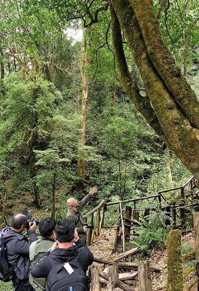 中科院植物所李渤生教授给大家讲解古茶生态系统的更迭演变