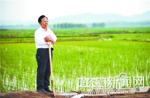 聚焦：元宝村，乡村振兴路上续写传奇