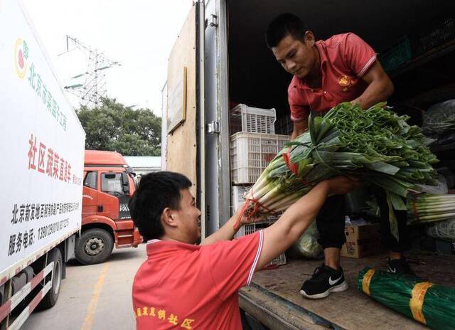 首批规范化蔬菜直通车上路，月底“正规军”全部换标