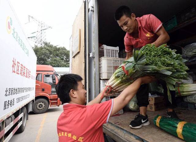 首批蔬菜直通车“正规军”上路组图