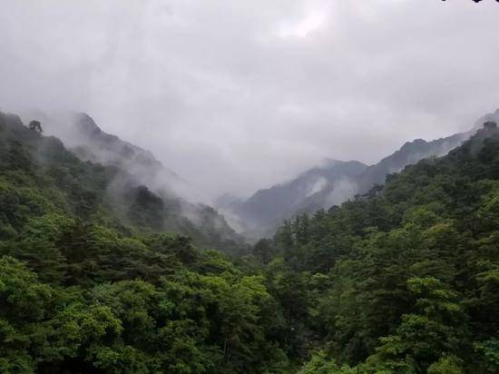 秒香山摄/谢戎彬