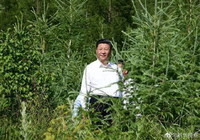 习近平：建设生态安全屏障要世世代代去做