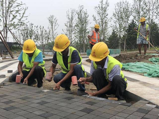 建筑垃圾再生，北京最大“绿肺”温榆河公园用上海绵砖