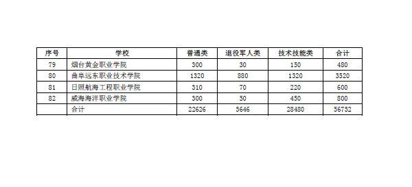 山东省第二批次高职扩招启动 共扩招56752人