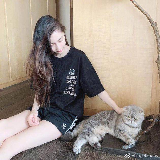 baby抚摸爱猫