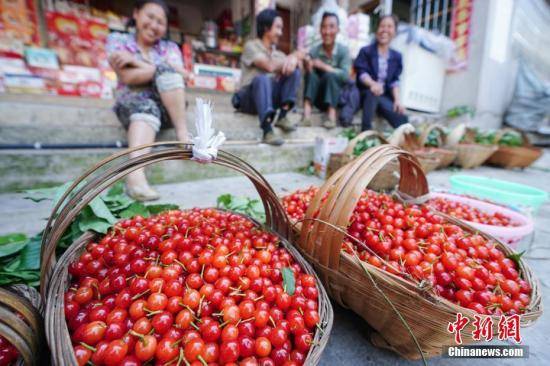 资料图：果农在出售樱桃。中新社记者贺俊怡摄