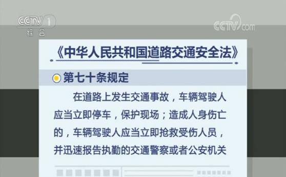 披露！出车祸不救人 司机被刑拘，法律专家深入解读案件四大焦点