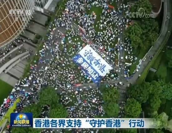 香港各界支持“守护香港”行动