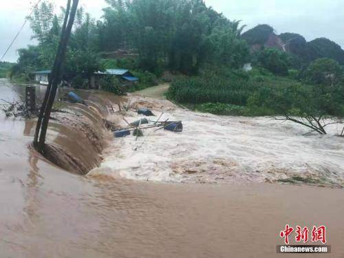 资料图：暴雨致四川自贡道路旁的树木倒伏、局部山体滑坡和部分地方积水严重。贡井交警供图