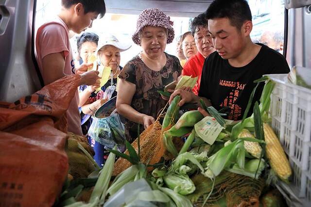 “太好吃了！”鲜食玉米进社区