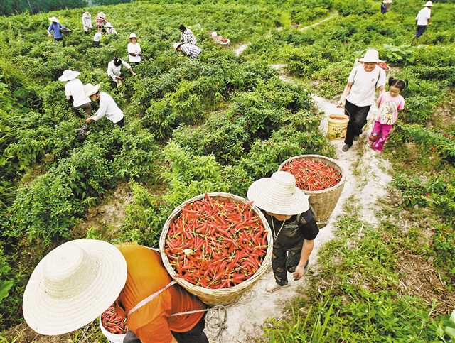 石柱着力走好“康养”路子