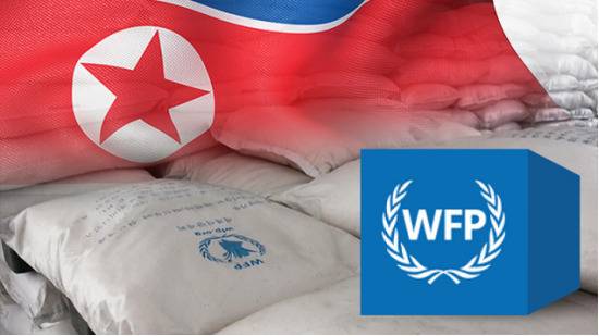 图源：WFP