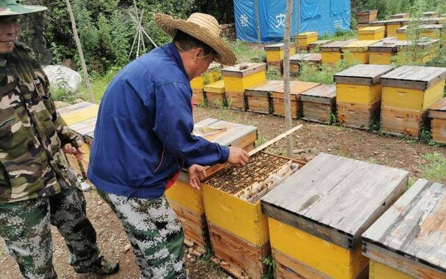 密云打造“花园式蜂园”让老师傅教你怎么辨别好蜂蜜