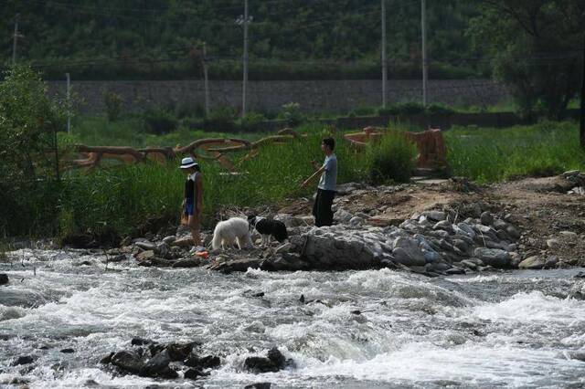 永定河畔终于能消暑 北京“母亲河”补水后绿意盎然